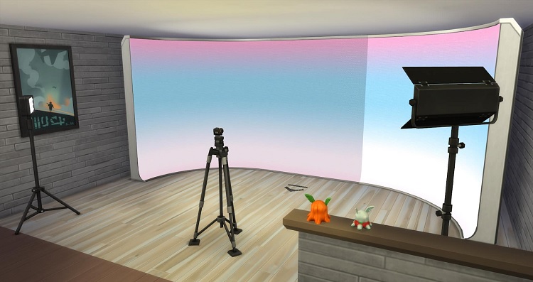 Establishing Your Sims' Photography Studio